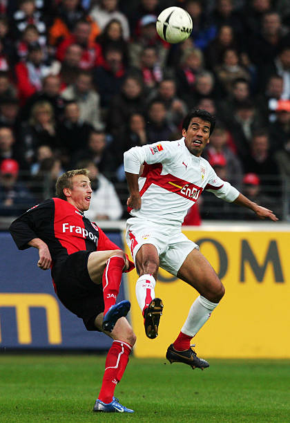 未来不排除 未来不排除